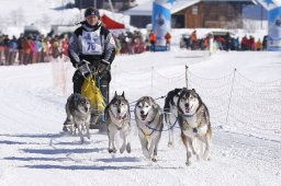 Lenk 2013